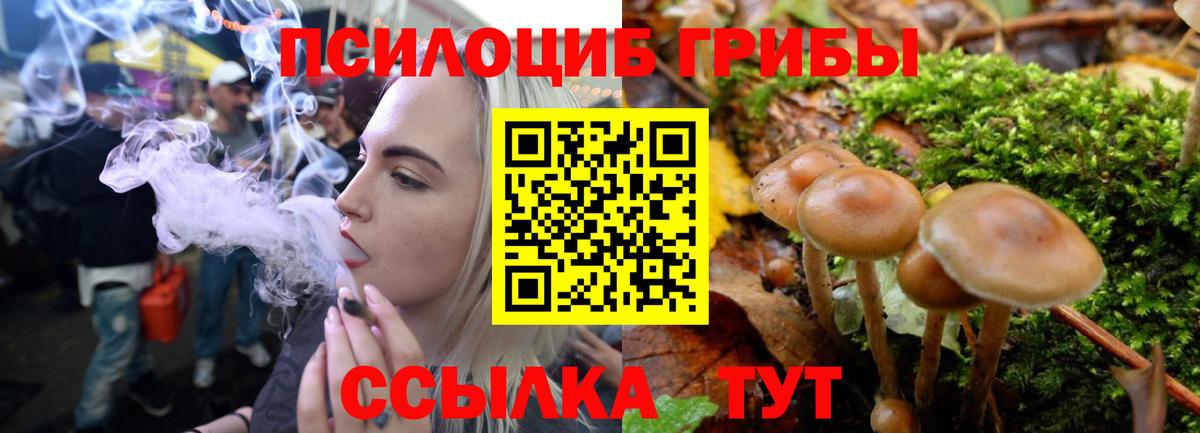 Галлюциногенные грибы Psilocybine cubensis Моздок