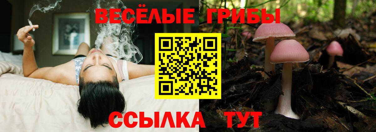 Моздок  Галлюциногенные грибы прущие грибы  Вход с VPN 